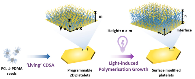 1701062996373689.png image.png