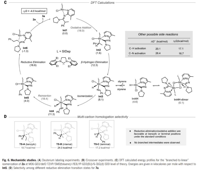 1701068409322026.png image.png