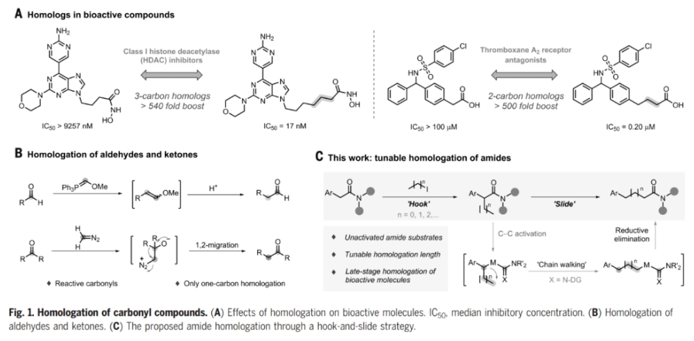 1701068488520084.png image.png