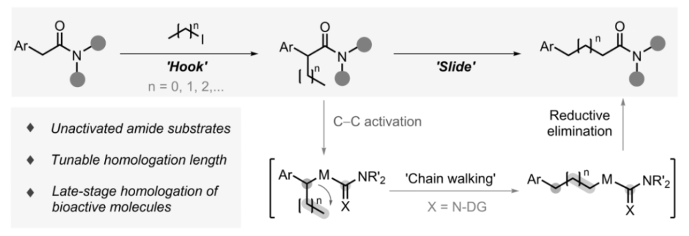 1701068495695784.png image.png