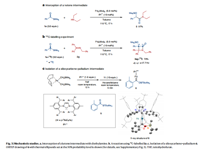 1705538501257904.png image.png