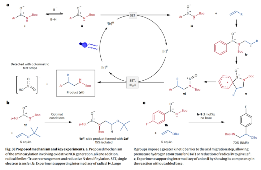 1705910278837134.png image.png