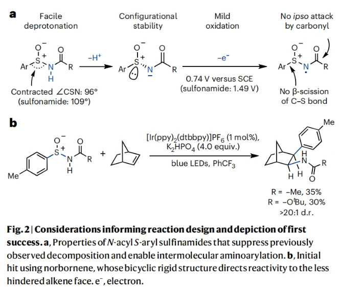 1705910317296086.png image.png