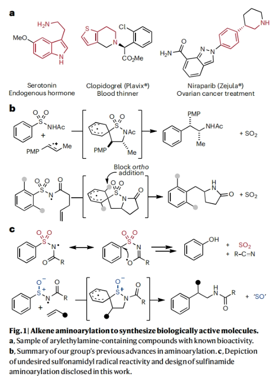 1705910327801952.png image.png