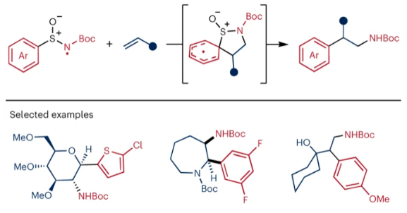 1705910335278293.png image.png