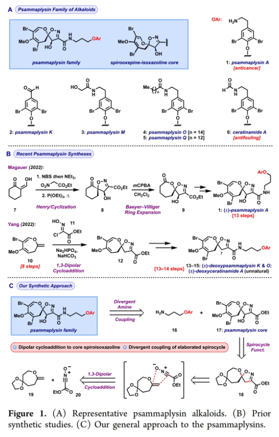 1706079542575584.png image.png