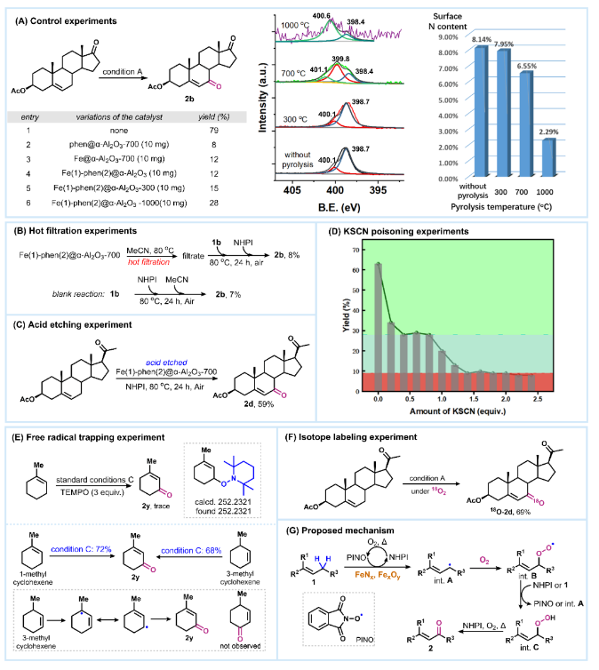 1706230699418776.png image.png