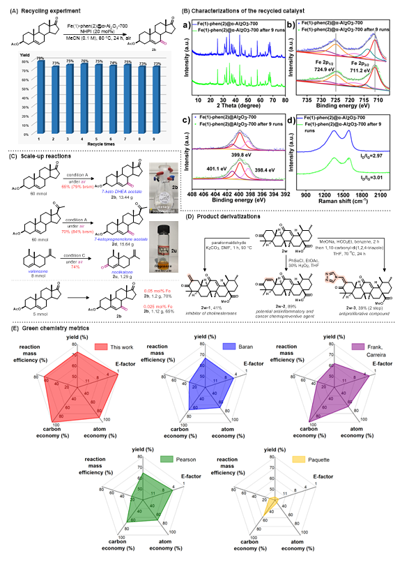 1706230707267736.png image.png