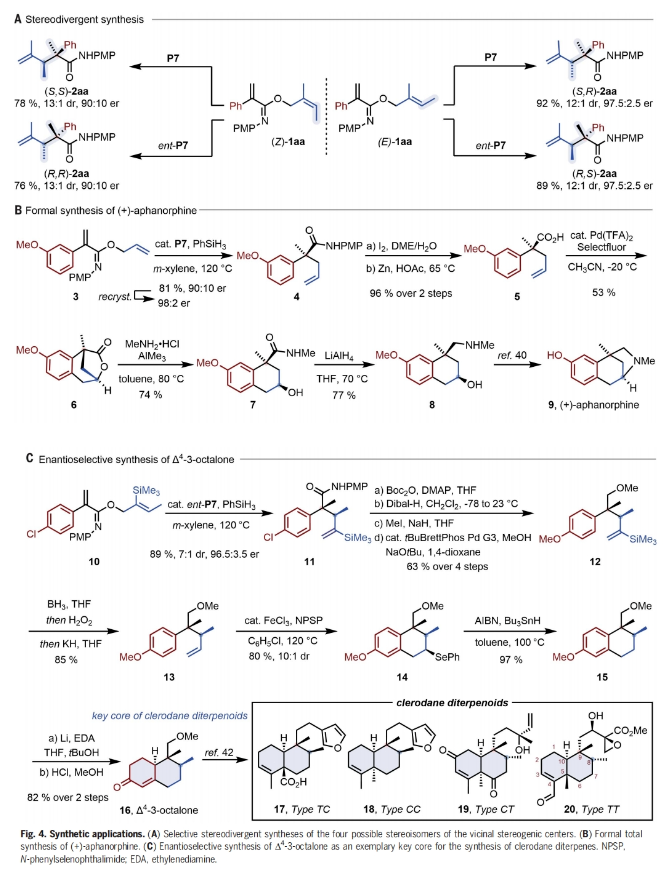 1706505668489765.png image.png