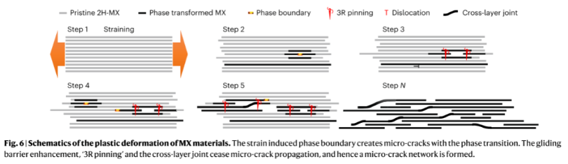 1707115960342072.png image.png