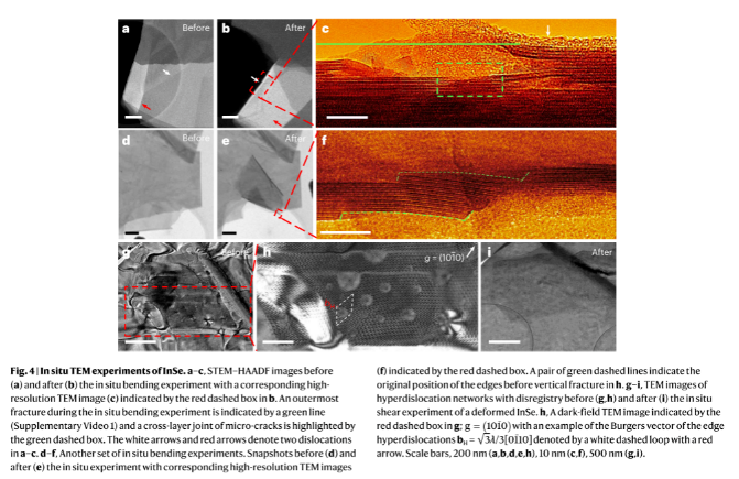 1707115978117421.png image.png