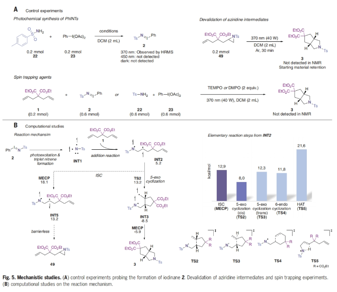 1707116134688739.png image.png