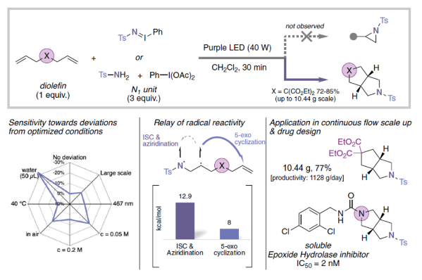 1707116196894366.png image.png