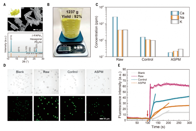 1707203022593243.png image.png