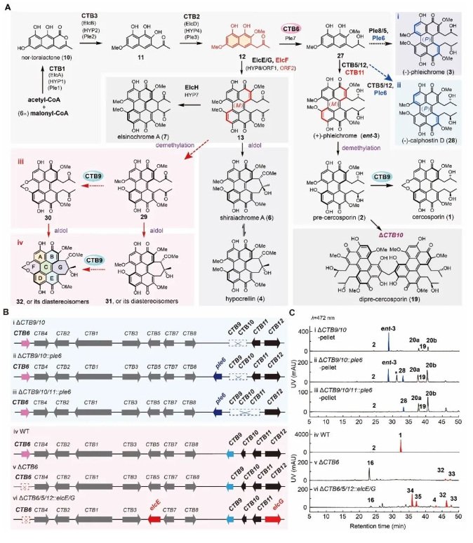 1707203113474368.png image.png