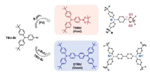 1708235534972737.png image.png