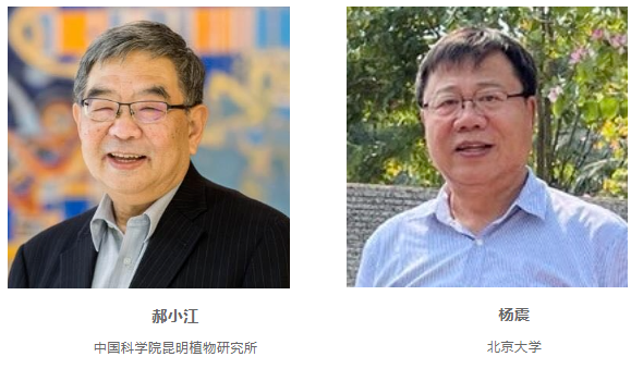 1709693479398617.png image.png