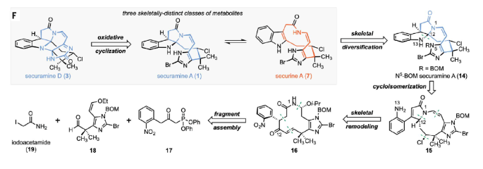 1709774111889488.png image.png