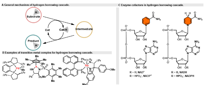 1712816477503960.png image.png