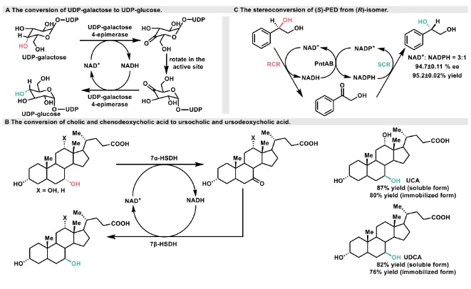 1712816492306059.png image.png