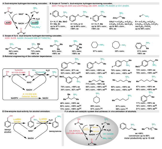 1712816497503955.png image.png