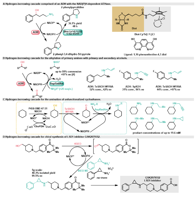 1712816505441562.png image.png