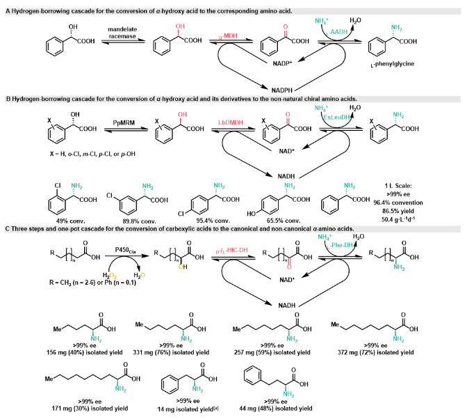 1712816511389158.png image.png