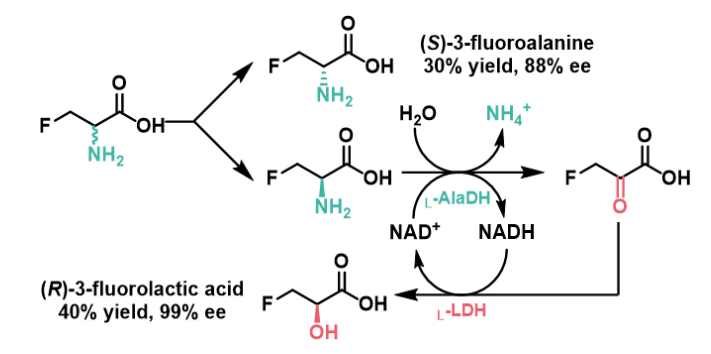 1712816518533765.png image.png