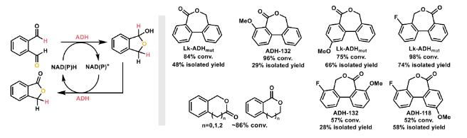 1712816531785883.png image.png