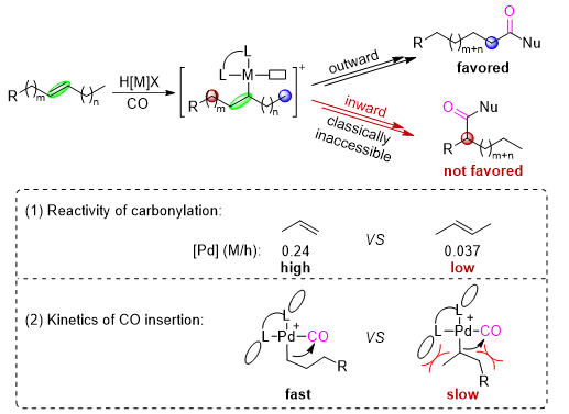 1713839516219271.png image.png