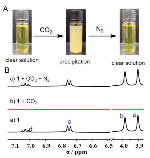 1713843034575371.png image.png