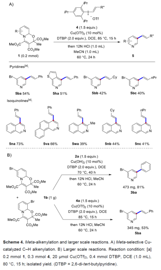 1714267372689374.png image.png