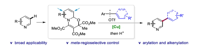 1714267425955263.png image.png