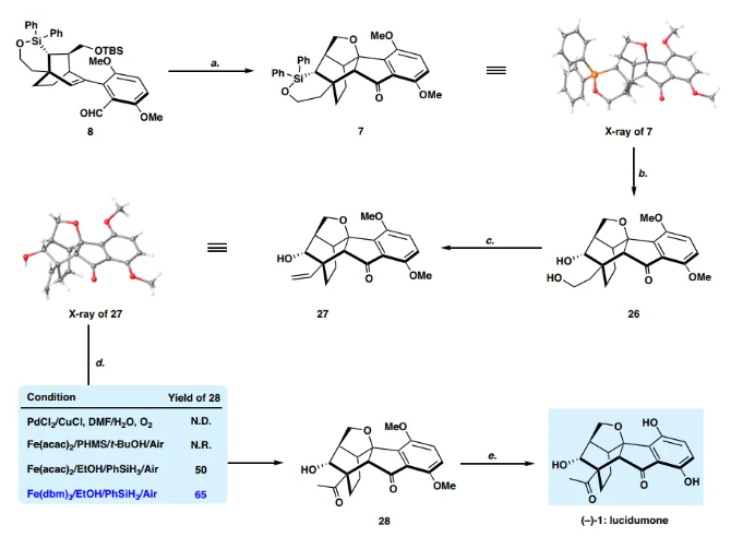 1714448520993627.png image.png