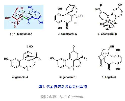 1714448551861662.png image.png