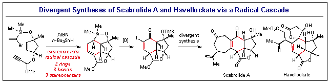 1715653759478604.png 圖片1.png