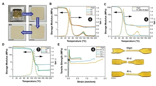 1715672372984909.png image.png