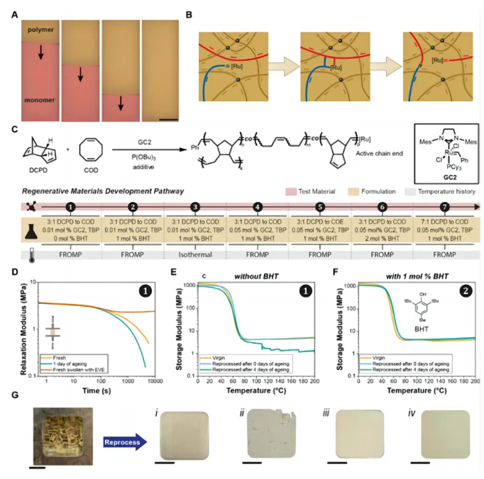 1715672391947872.png image.png