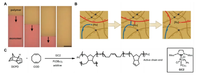 1715672397844856.png image.png