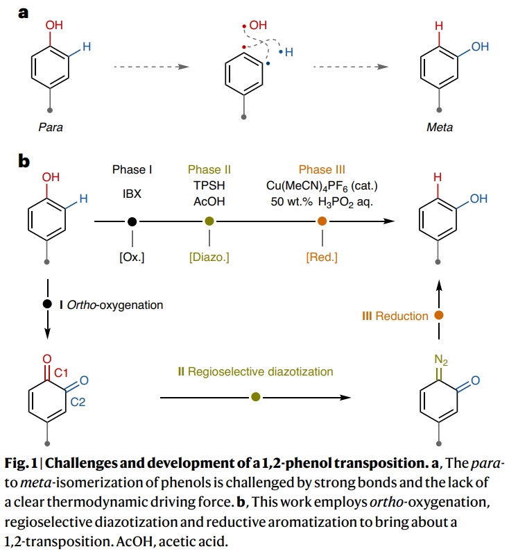 1716191747952277.png 2.png