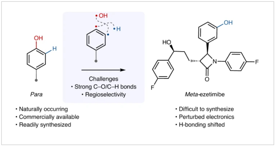 1716191752342656.png 圖片1.png