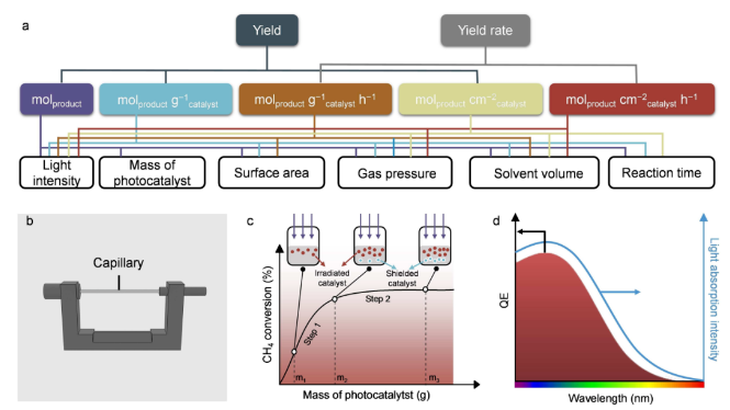 1716284037611998.png image.png