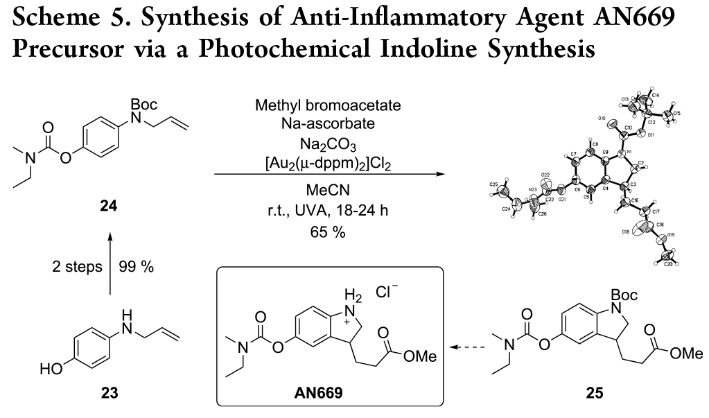 1716544294297277.jpg 6.jpg