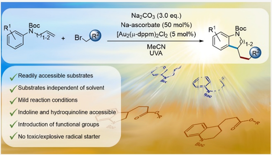 1716544313710277.png 1.png