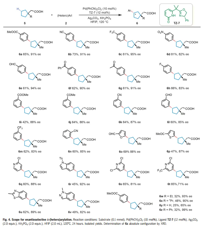 1716544455303546.png image.png