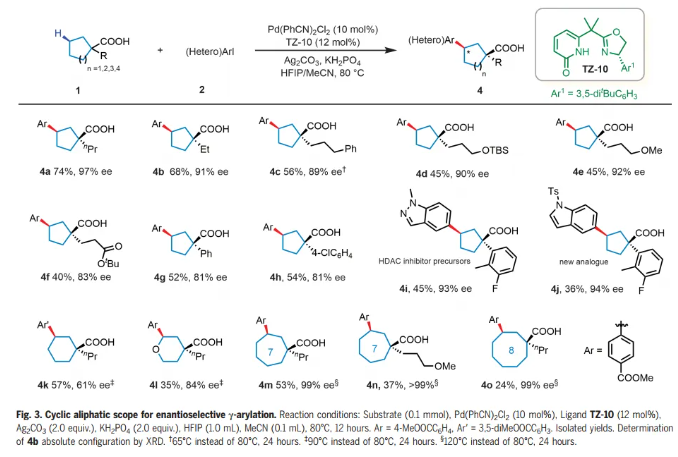 1716544462767764.png image.png