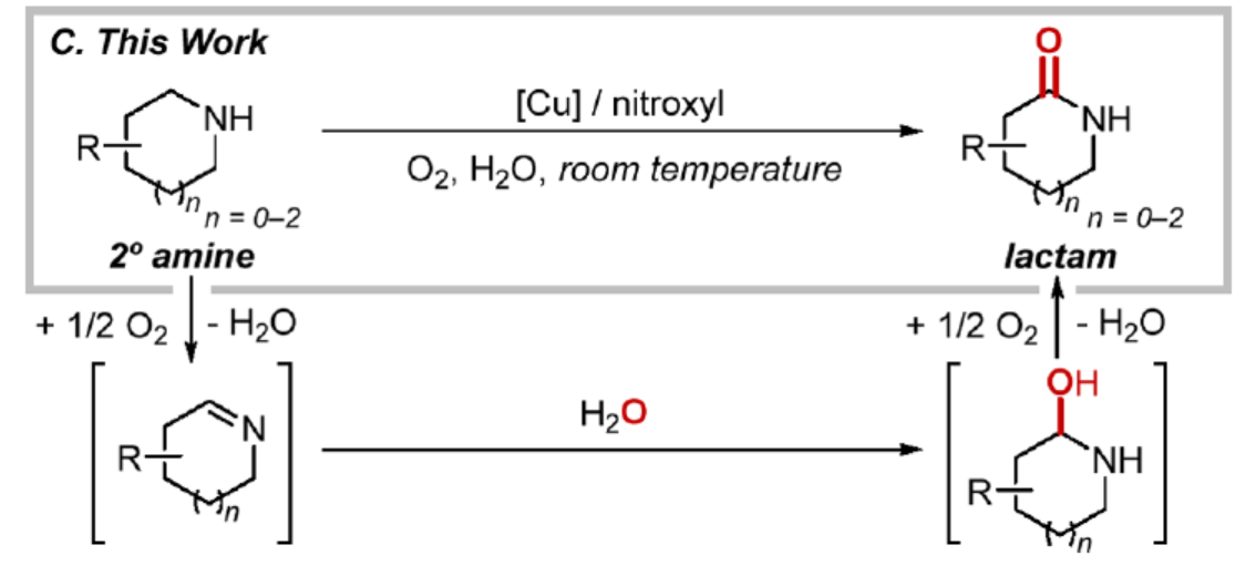 1716797293283443.png 圖片1.png