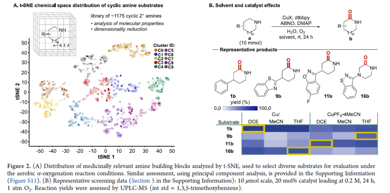 1716797330815188.png 圖片5.png