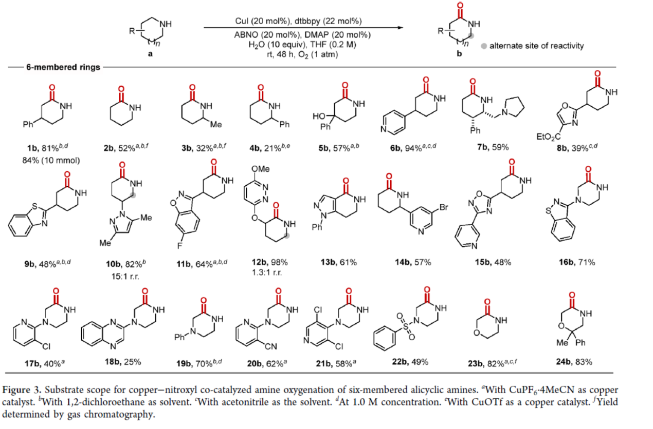 1716797335565068.png 圖片6.png