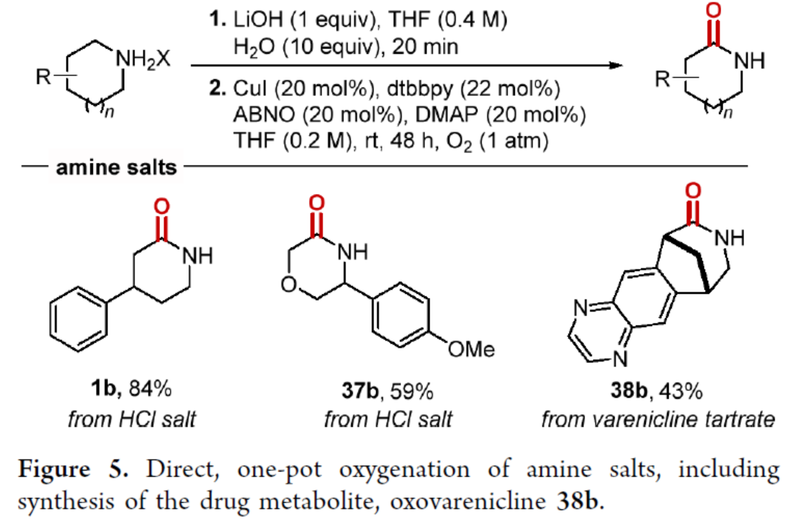 1716797345578915.png 圖片8.png